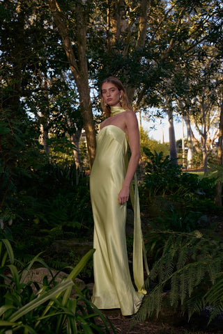 Pasduchas Quin Strapless Maxi Dress - Lemon
