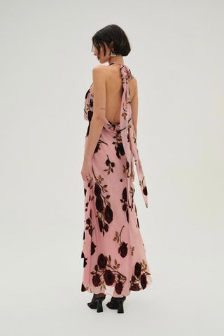 For Love & Lemons Rose Velvet Maxi Dress - Rose
