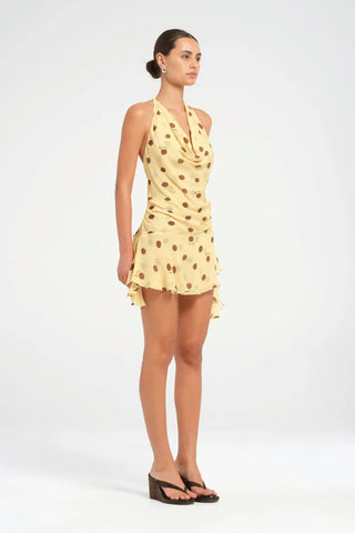 Benni Harlow Polka Halter Mini Dress - Butter Spot