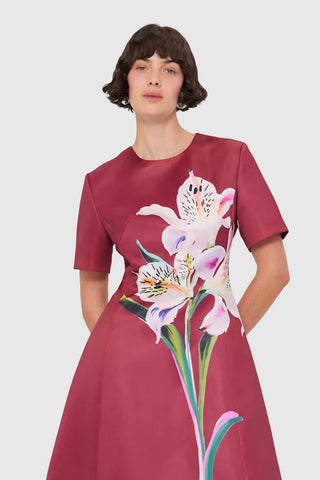 Leo Lin Caroline Short Sleeve Midi Dress - Burgundy