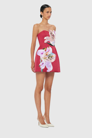 Leo Lin Rosario Appliqué Bustier Mini Dress - Lily Print in Oxblood