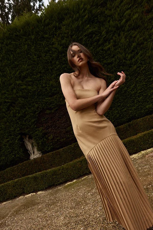 bianca and bridgett mara pleated dress Bianca and Bridgett Mara Gown worn once for 1 hour