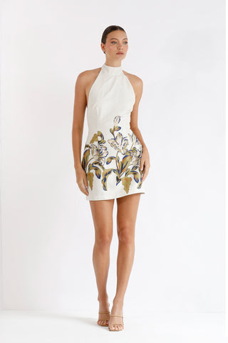 Pasduchas Flourish Halter Dress - Multi