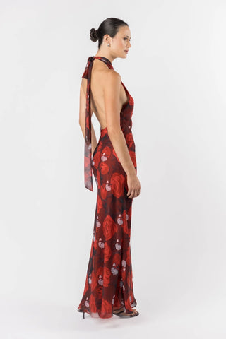 One Fell Swoop Constellation Dress - Briar Rose