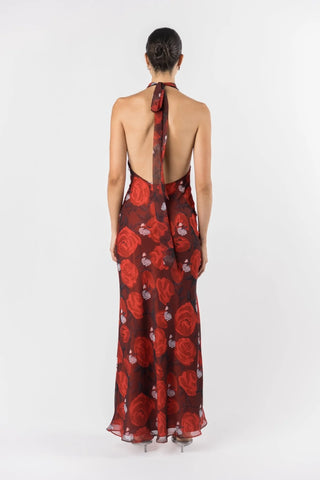 One Fell Swoop Constellation Dress - Briar Rose