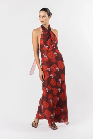 One Fell Swoop Constellation Dress - Briar Rose