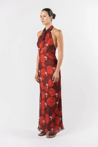One Fell Swoop Constellation Dress - Briar Rose