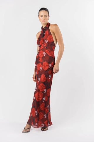 One Fell Swoop Constellation Dress - Briar Rose