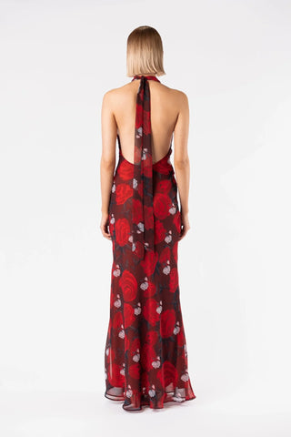 One Fell Swoop Constellation Dress - Briar Rose