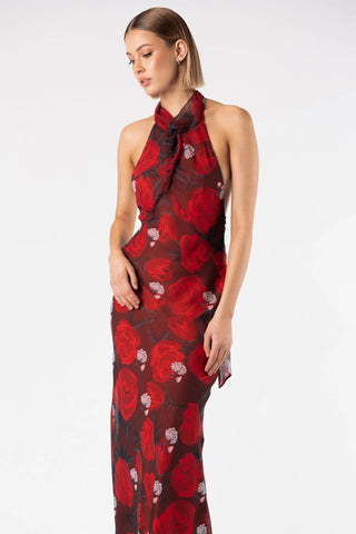 One Fell Swoop Constellation Dress - Briar Rose