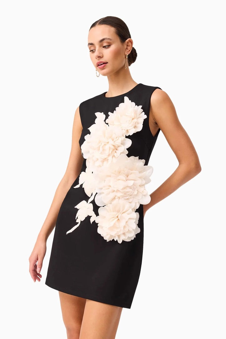 Elliatt Zahara Mini Dress - Black