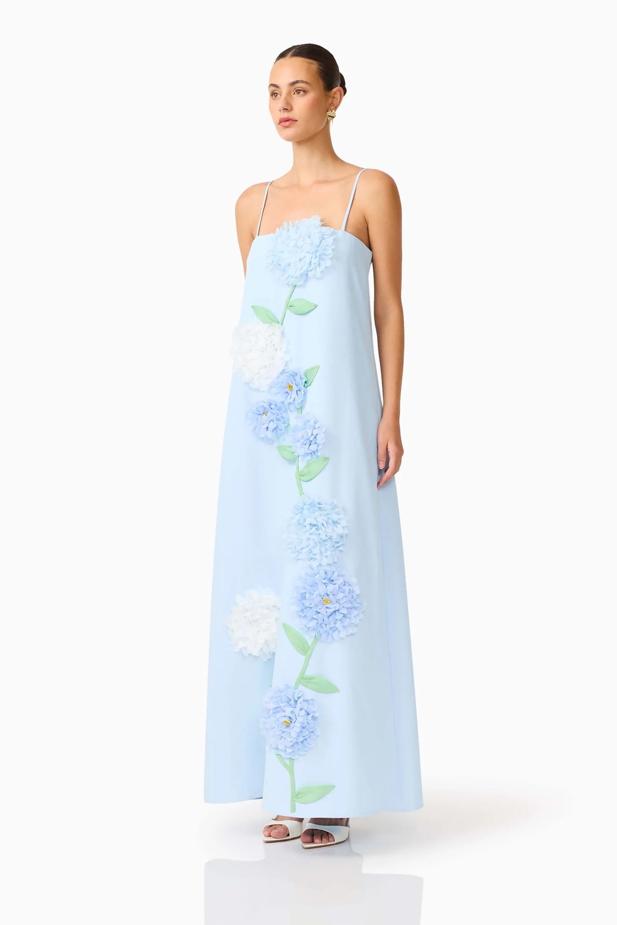 Elliatt Embroidered Maxi Dress - Baby Blue