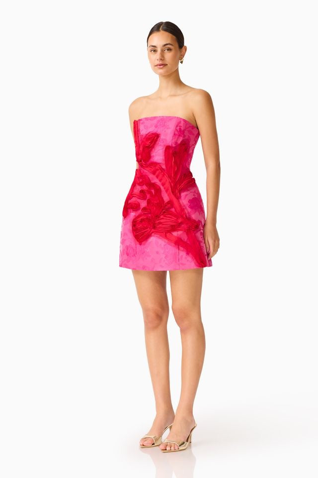 Elliatt Florentia Strapless Mini Dress - Pink & Red