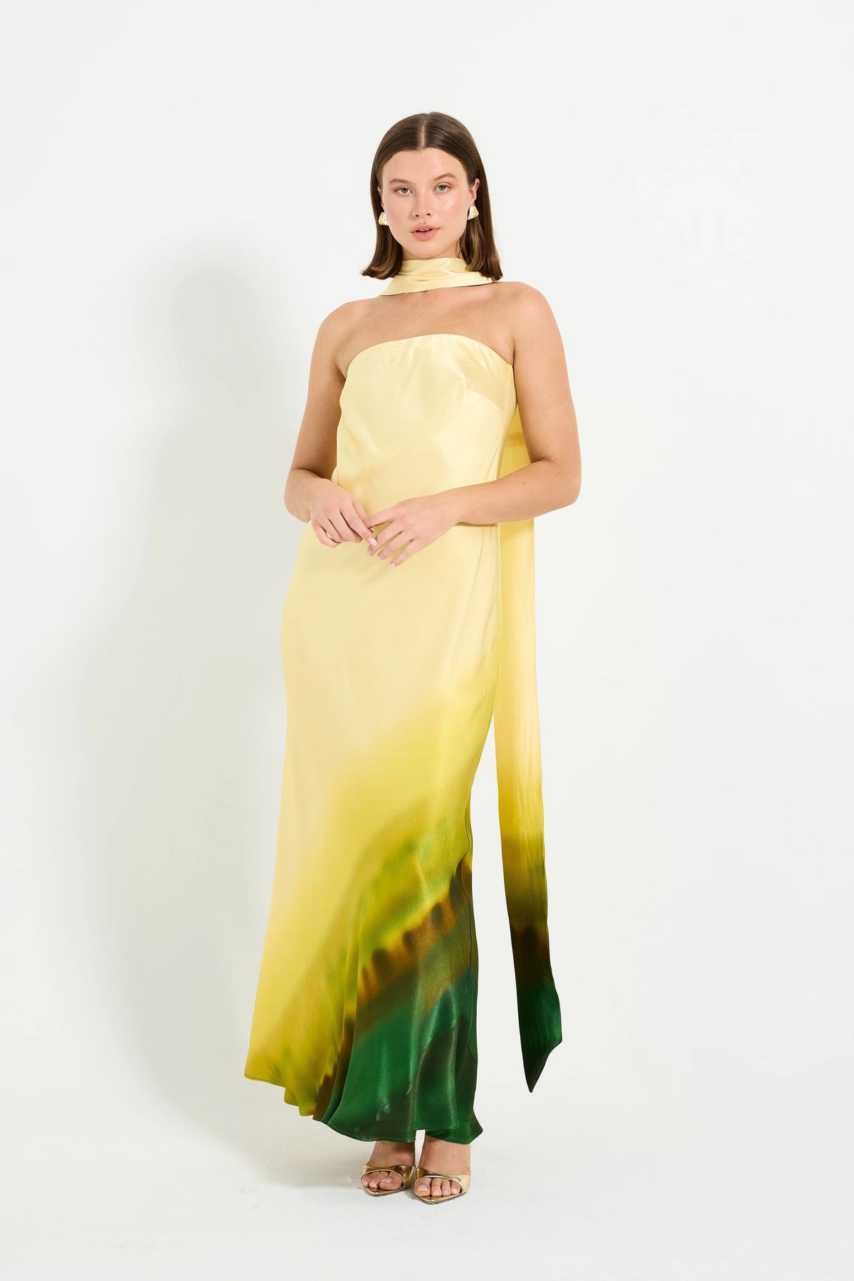 Pasduchas Hugo Strapless Maxi - Moss Ombre