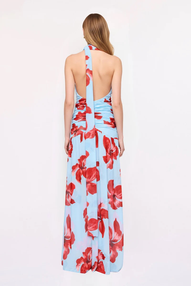 Suboo Chloe Floral Halter Mesh Maxi Dress - Blue & Pink