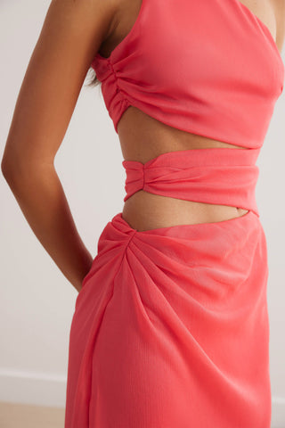 Lexi Aurea Dress - Flamingo