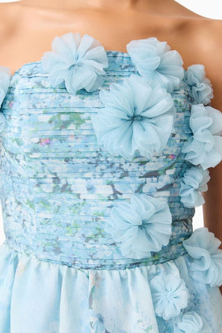 Elliatt Faye Gown - Blue Mutli