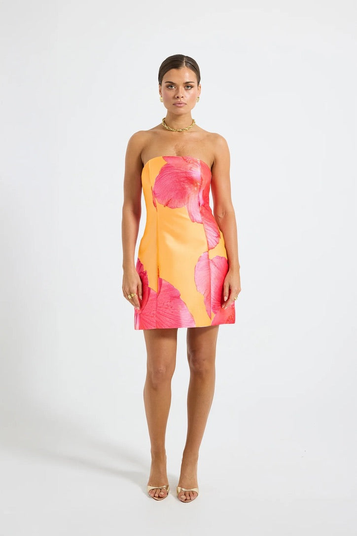 Pasduchas Kalani Mini Dress - Mango