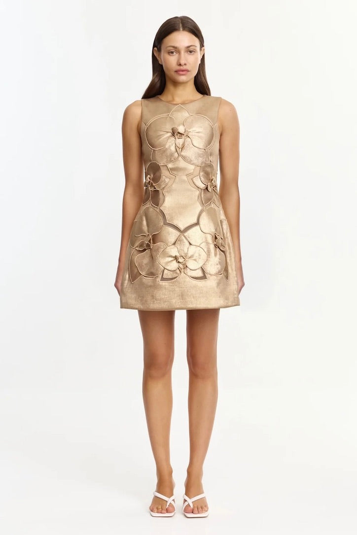 Acler Raffin Mini Dress - Gold