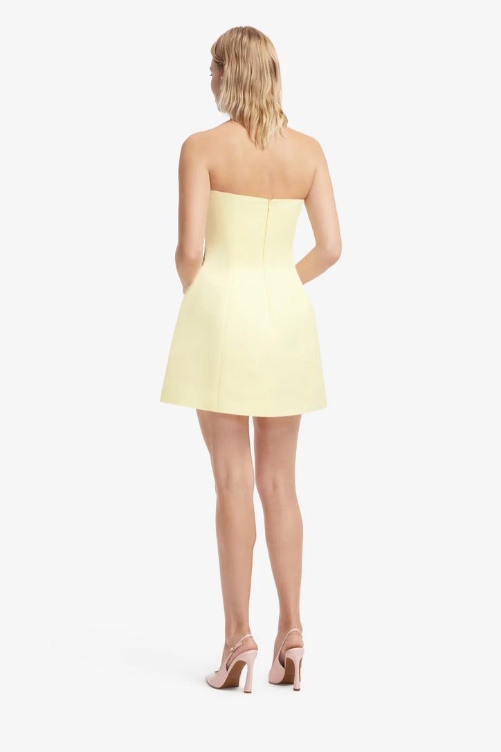Leo Lin Roselle Applique Bustier Mini Dress - Agapanthus Print