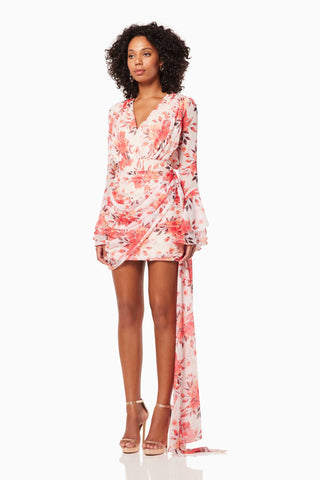 Elliatt Mardi Dress - Multi