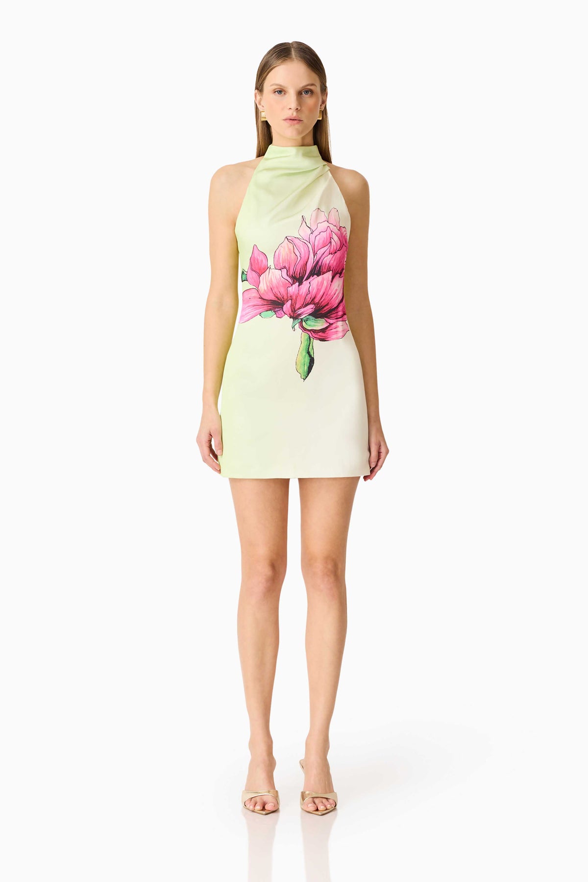 Elliatt Elisia Halterneck Mini Dress - Green Floral