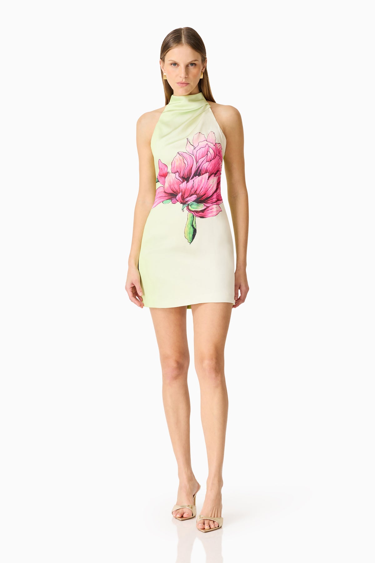 Elliatt Elisia Halterneck Mini Dress - Green Floral