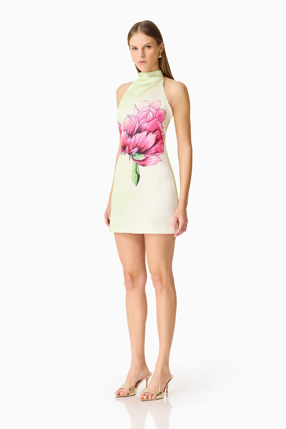 Elliatt Elisia Halterneck Mini Dress - Green Floral