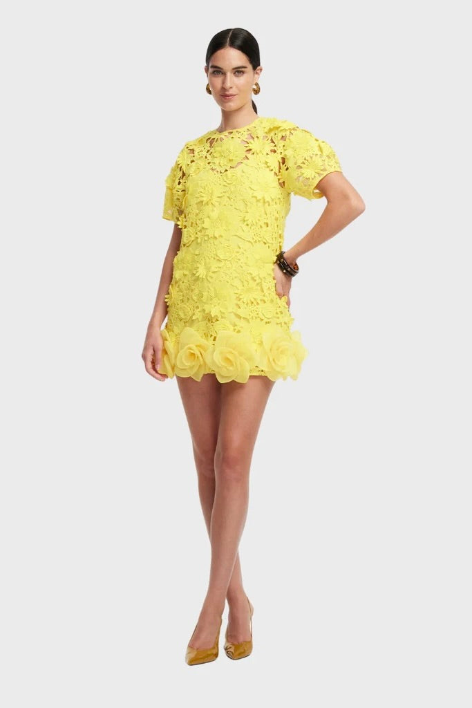 Leo Lin Maggie Lace Mini Dress - Sunshine