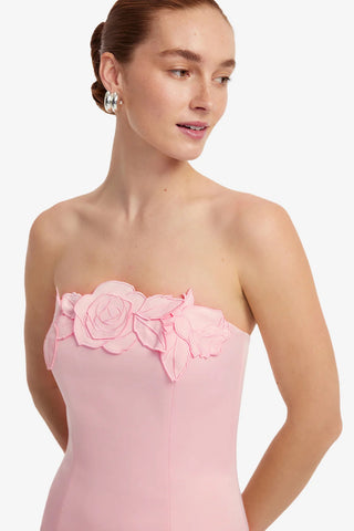 Leo Lin Rayna Appliqué Bustier Maxi Dress - Blush Pink