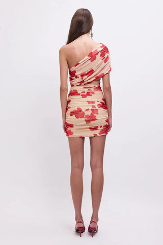 Suboo Suzie Mesh Mini Dress - Floral