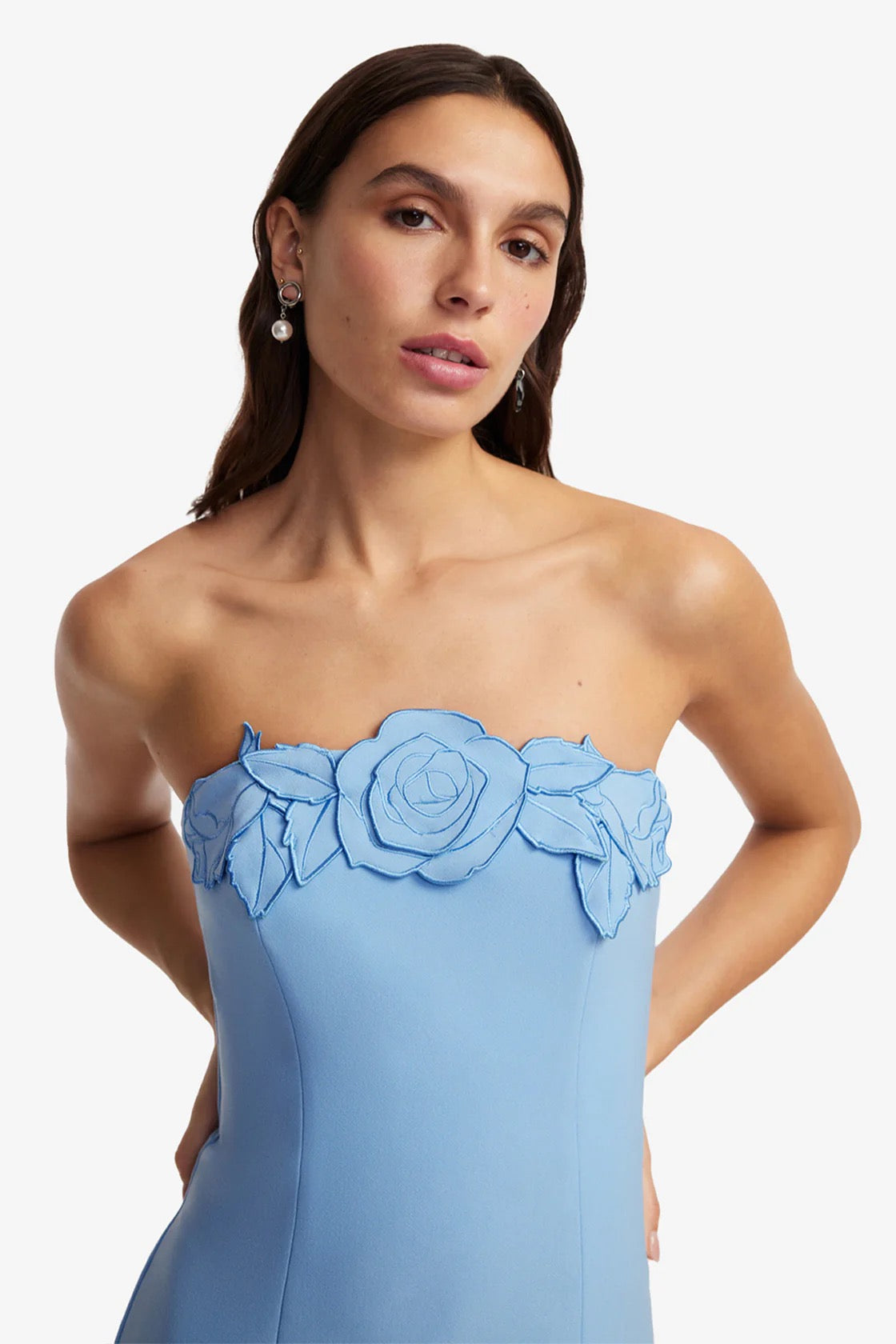 Leo Lin Rayna Appliqué Bustier Maxi Dress - Pastel Blue