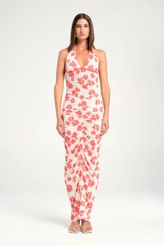Benni Pierre Maxi Dress - Blushwood