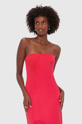 Leo Lin Rayna Appliqué Bustier Maxi Dress - Rosa