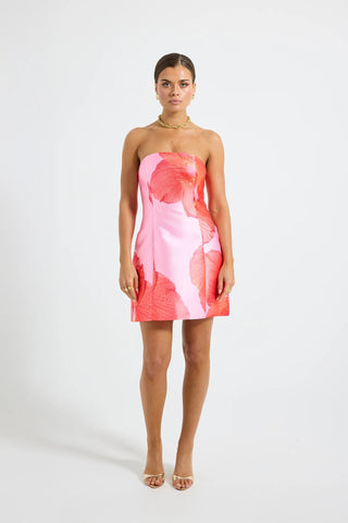 Pasduchas Kalani Mini Dress - Raspberry