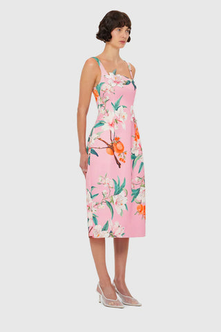 Leo Lin Larissa Midi Dress - Lavish Print in Pink