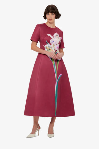 Leo Lin Caroline Short Sleeve Midi Dress - Burgundy