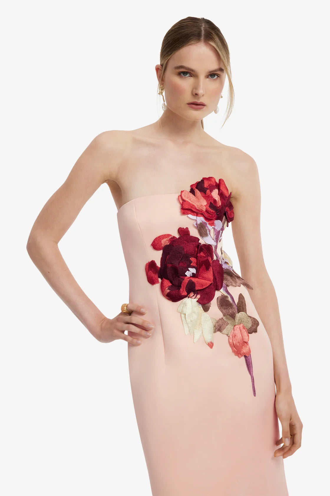 Leo Lin Rayna Embroidered Bustier Maxi Dress - Reverie in Nectar