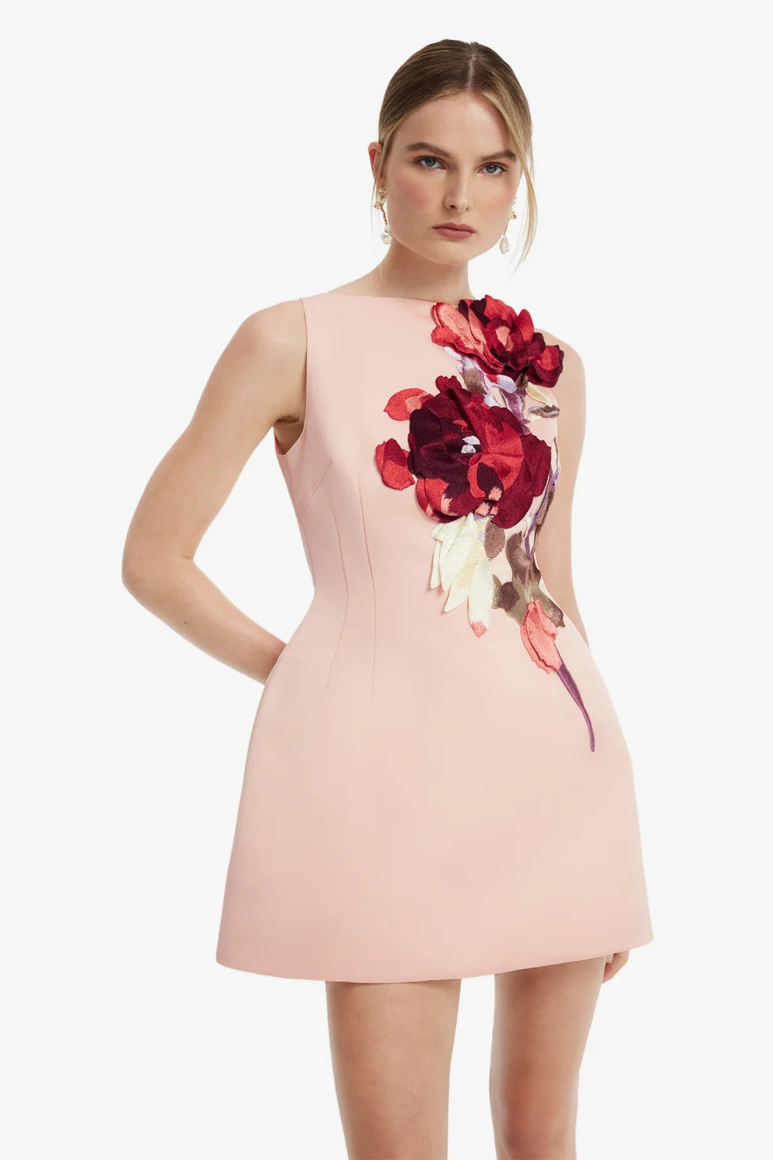 Leo Lin Ali Embroidered Boat Neck Mini Dress - Reverie Print in Nectar