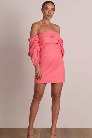 Pasduchas Platinum Party Dress - Punch Pink