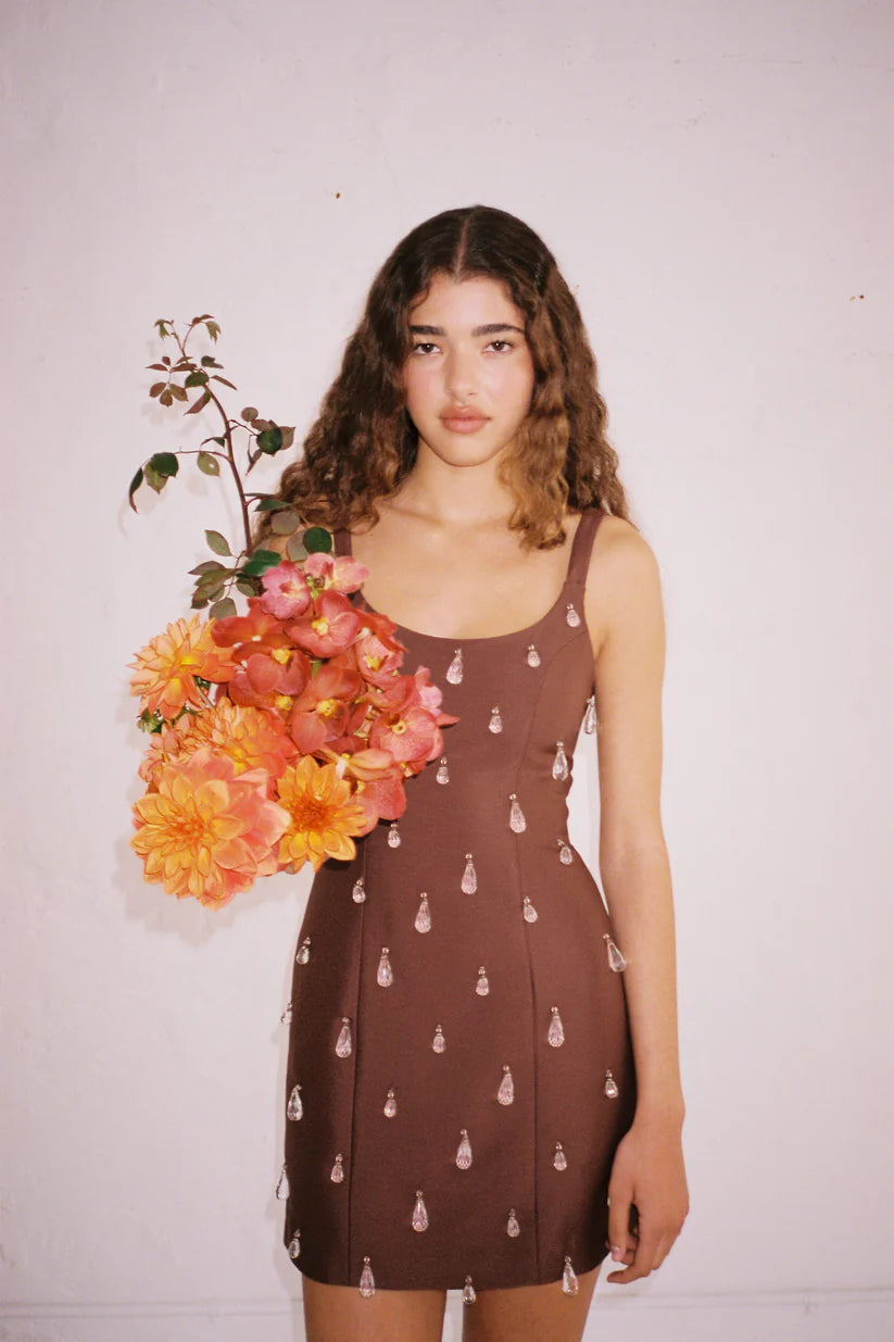 The Wolf Gang Luvia Beaded Mini Dress - Chocolate