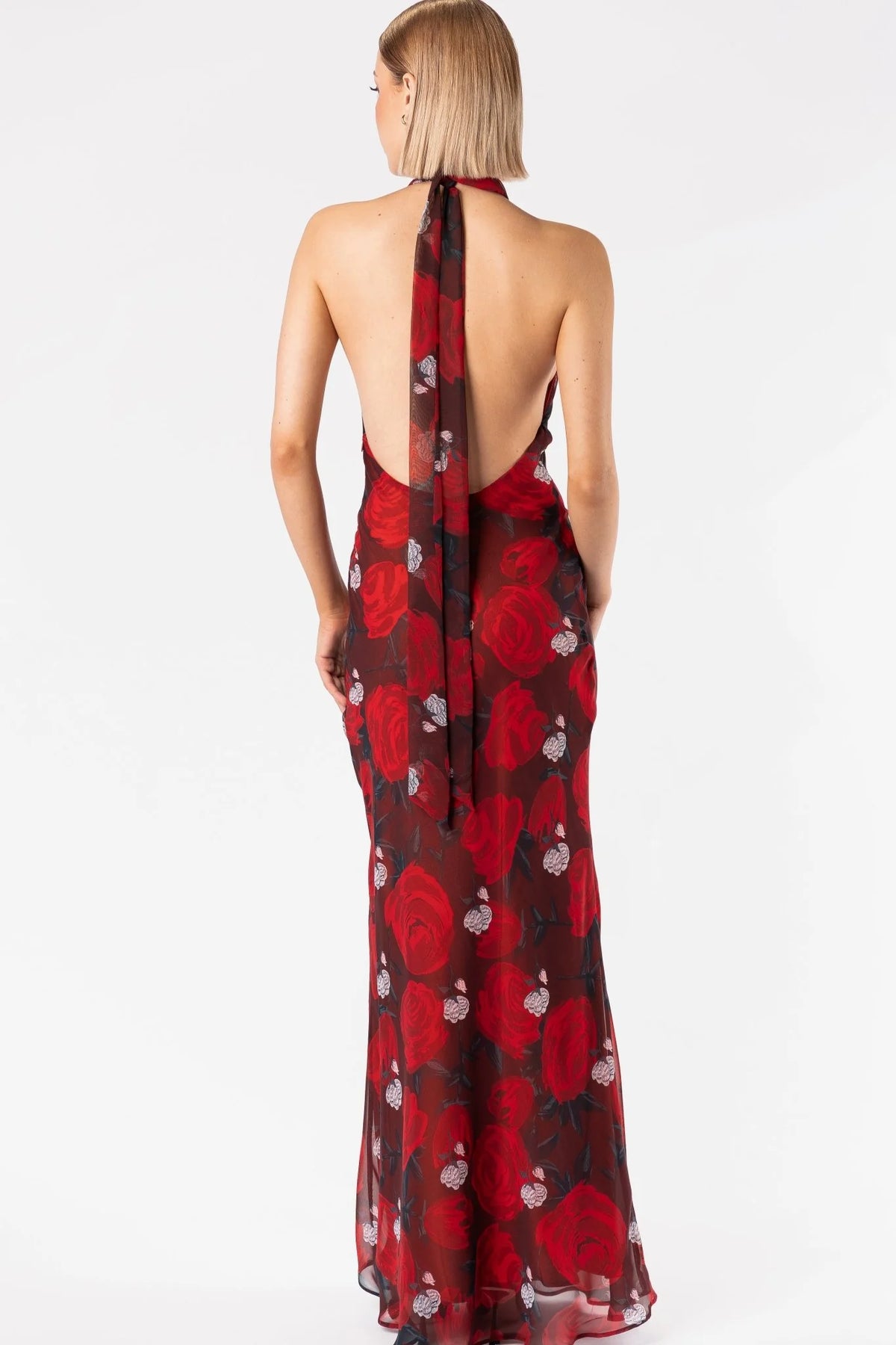 One Fell Swoop Constellation Dress - Briar Rose