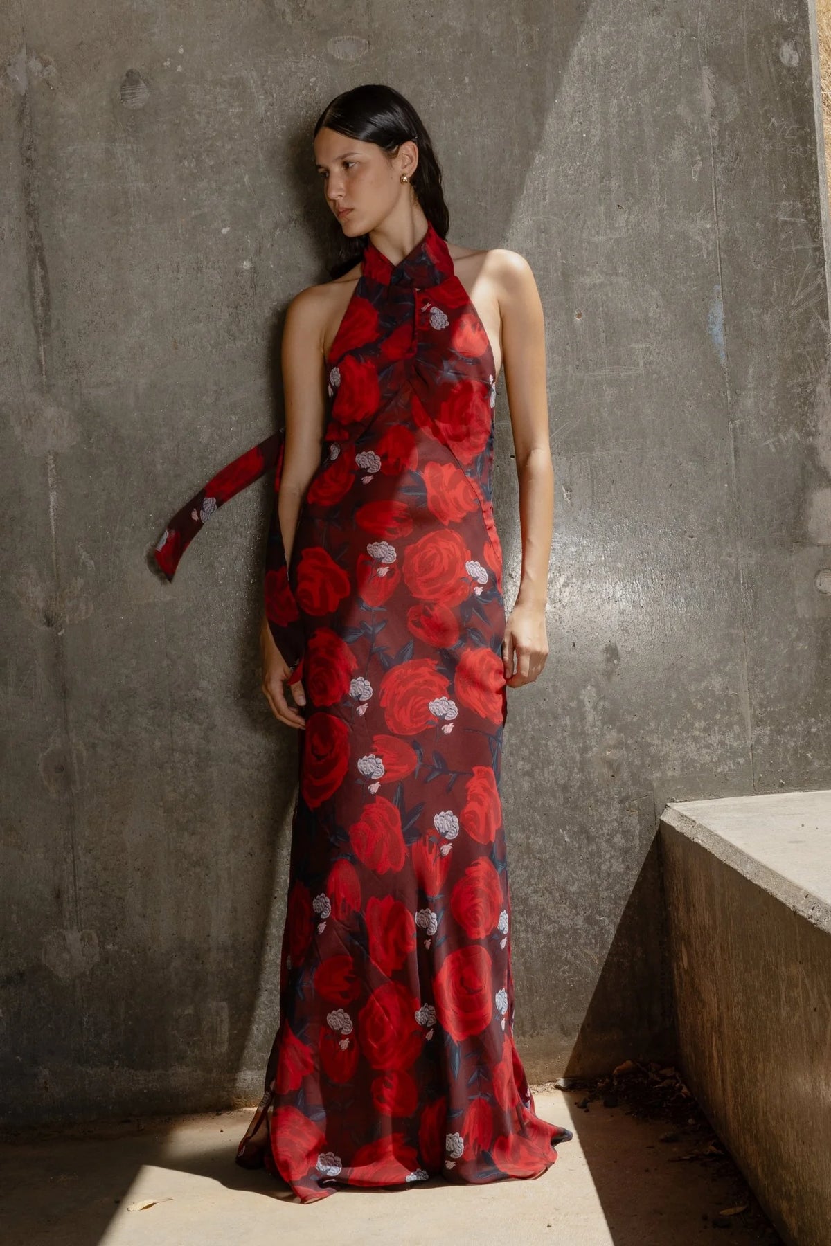 One Fell Swoop Constellation Dress - Briar Rose