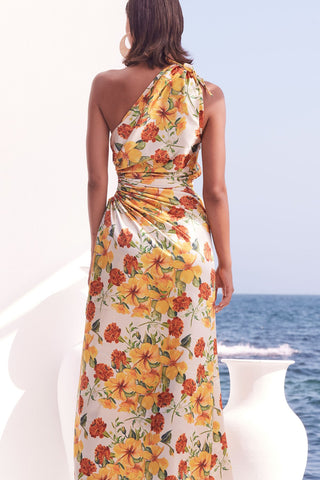 Sonya Nour Yarden Floral Maxi Dress - Multi